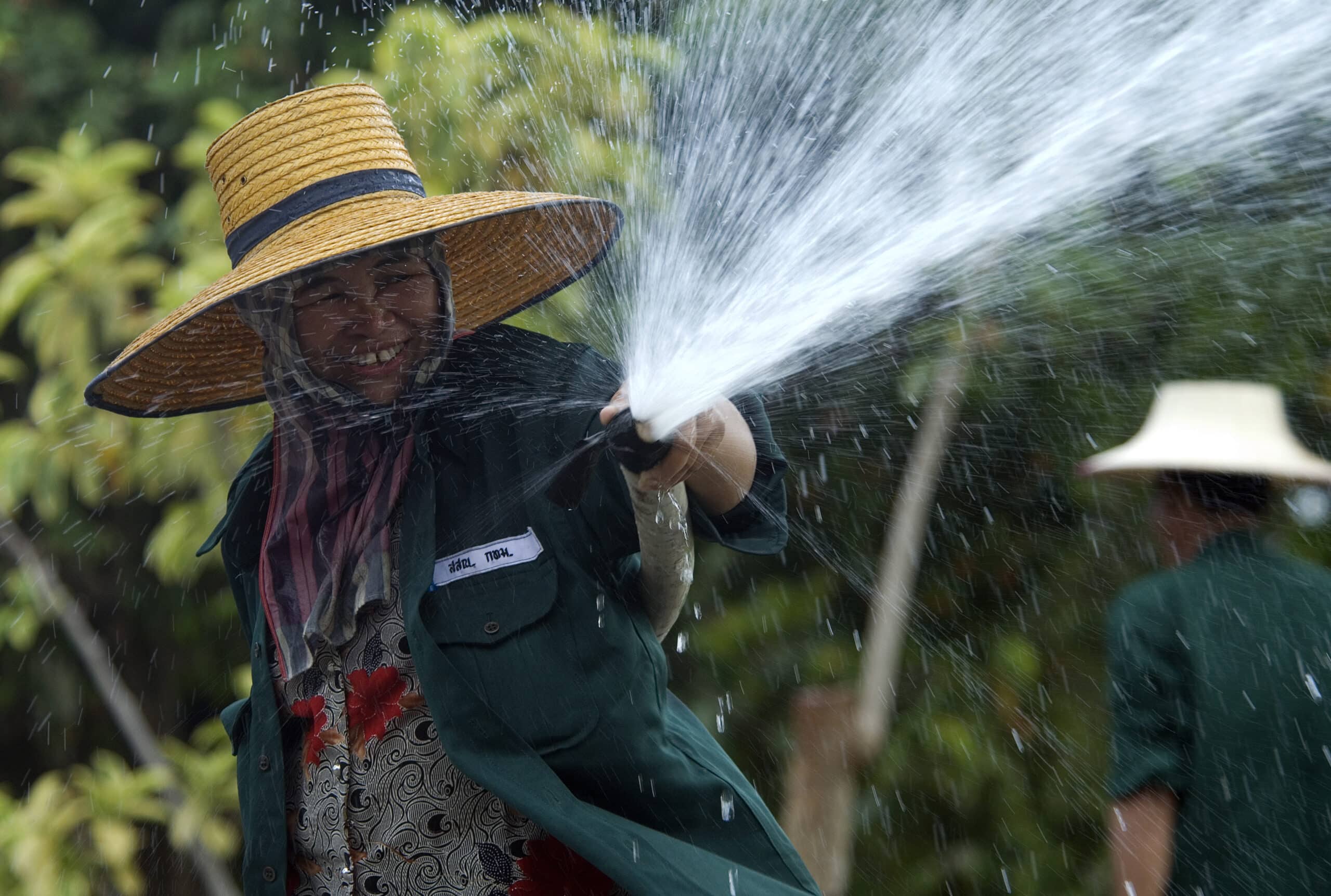 Bangkok city gardeners at work in the Rama IX Park, the largest park in the city.